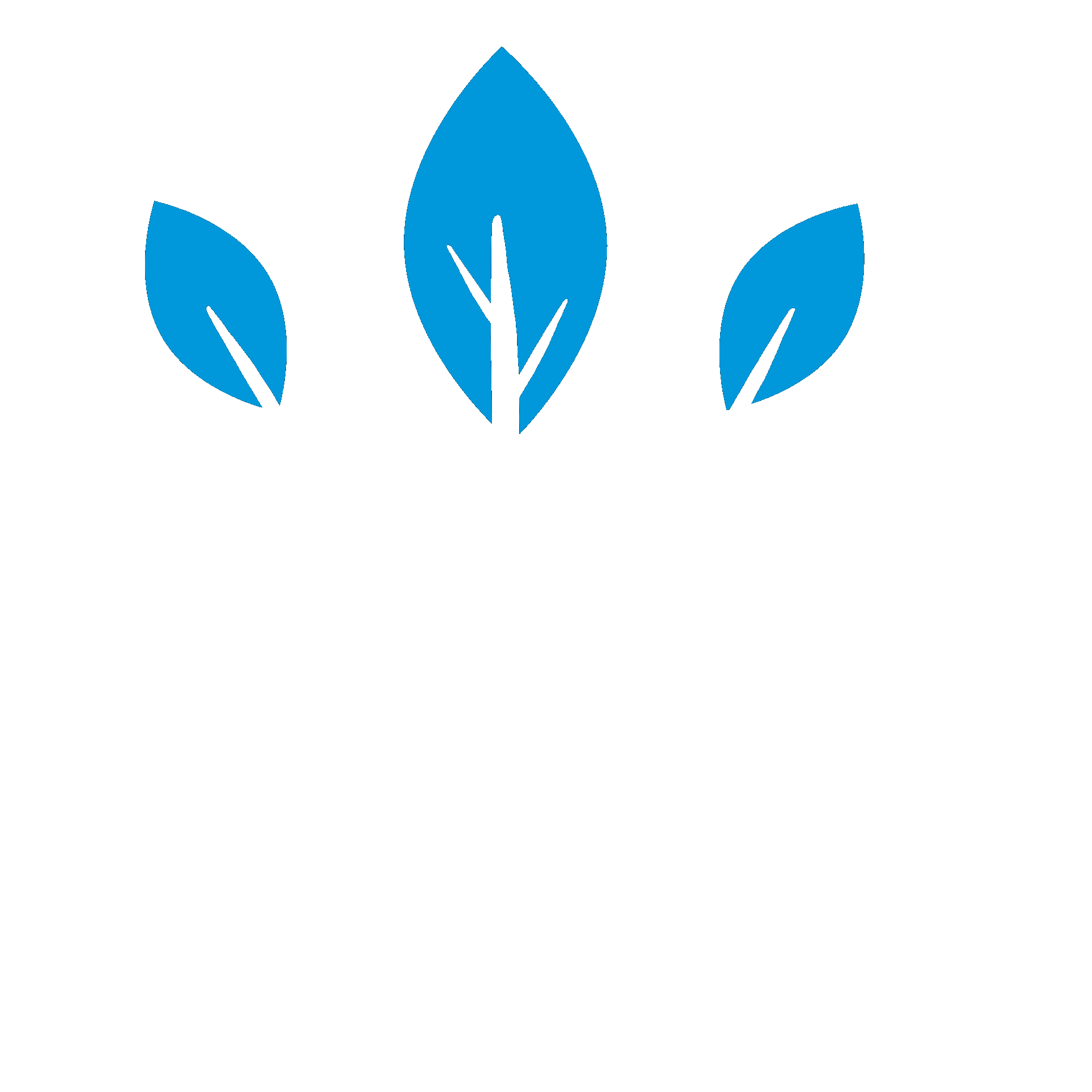 REACH Profiles